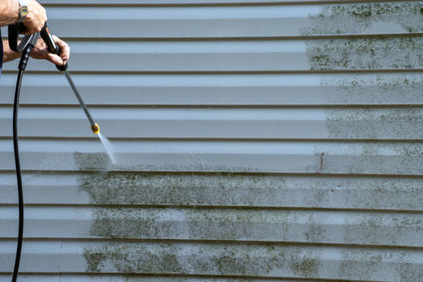 Same-Day Junk Removal Services in Morada, CA